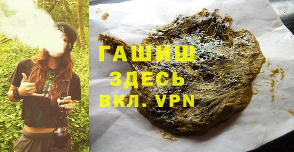 эйфоретик Гусь-Хрустальный