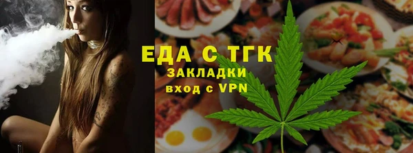 мдпв Гусев
