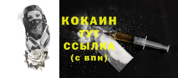 мдпв Гусев