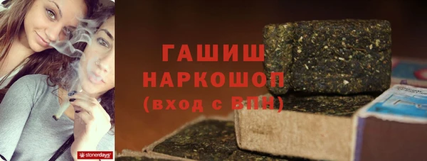 мдпв Гусев