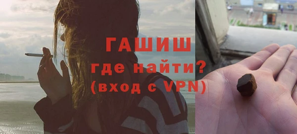 мдпв Гусев