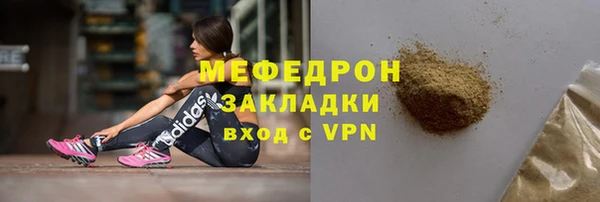 мдпв Гусев