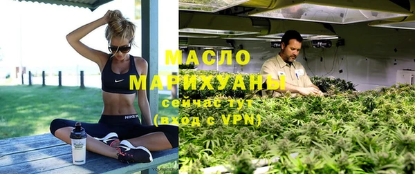 мдпв Гусев