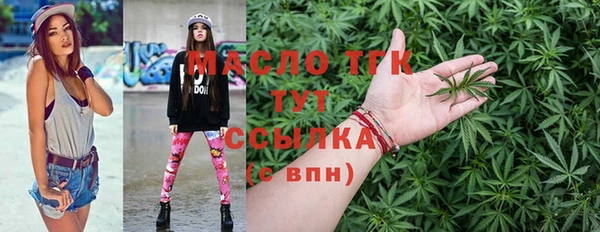 мдпв Гусев
