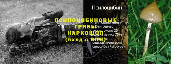 мдпв Гусев