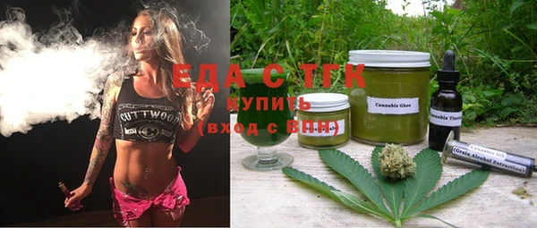 мдпв Гусев
