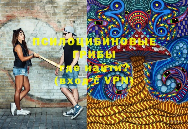 эйфоретик Гусь-Хрустальный