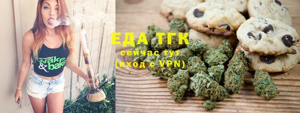мдпв Гусев