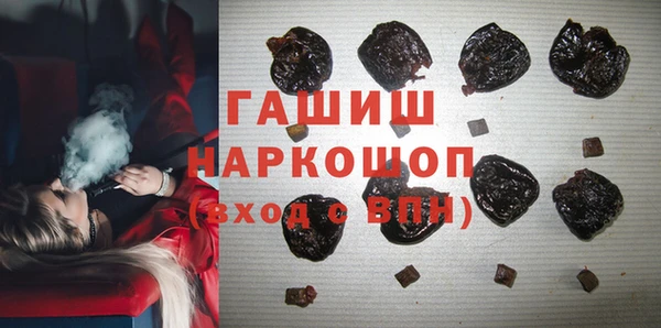 эйфоретик Гусь-Хрустальный