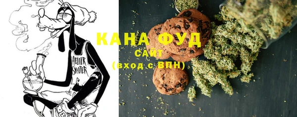 эйфоретик Гусь-Хрустальный
