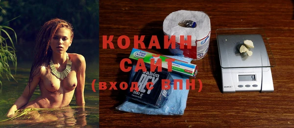 мдпв Гусев