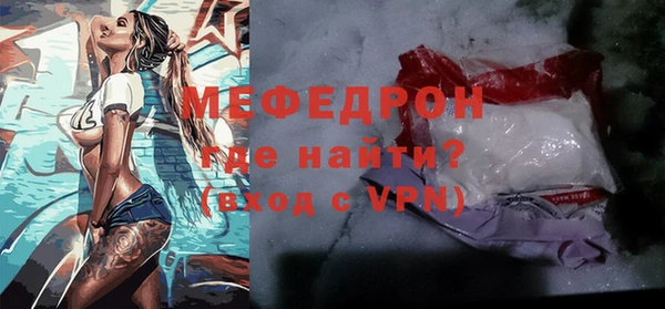 мдпв Гусев