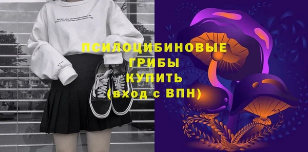 эйфоретик Гусь-Хрустальный