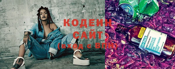 эйфоретик Гусь-Хрустальный