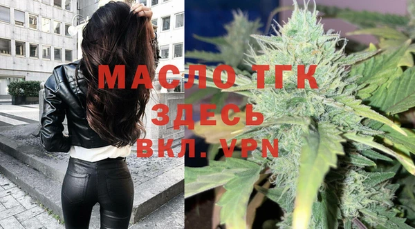 мдпв Гусев