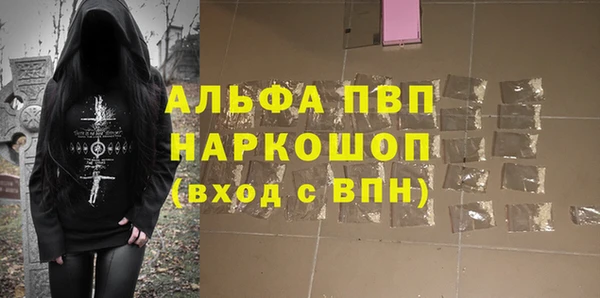 эйфоретик Гусь-Хрустальный