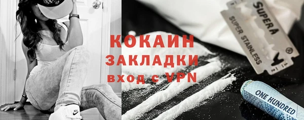 эйфоретик Гусь-Хрустальный