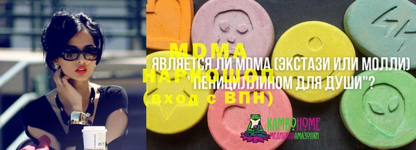 эйфоретик Гусь-Хрустальный