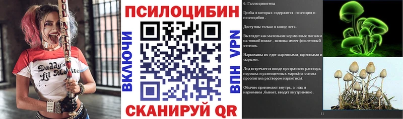 блэк спрут как зайти  Нязепетровск  Галлюциногенные грибы ЛСД 